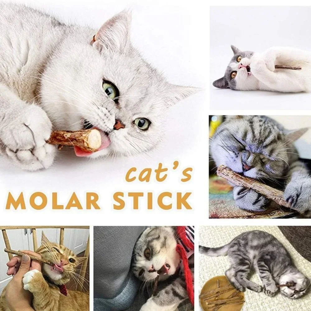 31 PCS Cat Toys Kitten Toys Assortments
